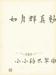 如月群真动画