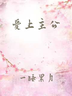 爱上主公