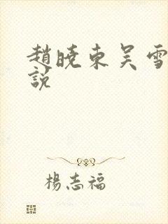 赵晓东吴雪晴小说