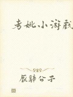 考妣小游戏