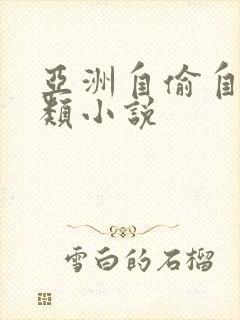 亚洲自偷自拍另类小说