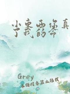 小东西你真能要了我的命