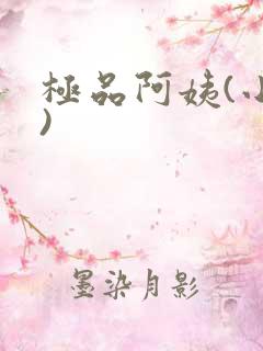 极品阿姨(小说)