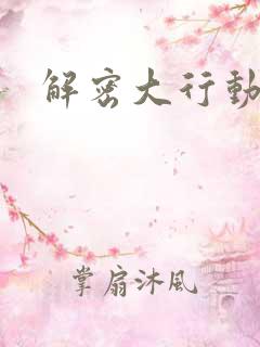 解密大行动