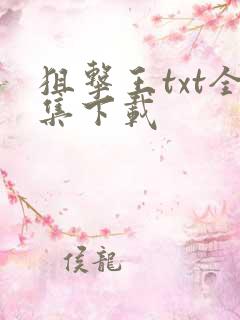 狙击王txt全集下载