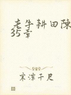 老牛耕田陈雪435章