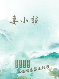妻小说