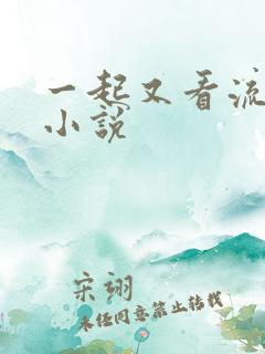 一起又看流星雨小说