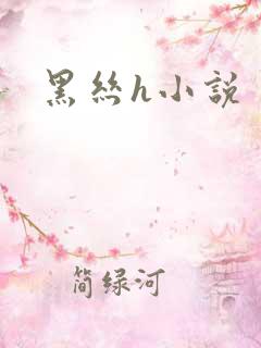 黑丝h小说