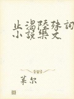 止渴陆殊词陆筝小说乐文