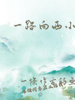 一路向西小说