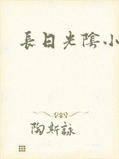长日光阴小说