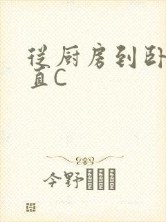 从厨房到卧室一直C