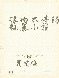 很肉不停的做很粗暴小说