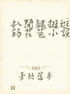 扒开腿挺进湿润的花苞小说