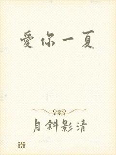 爱你一夏