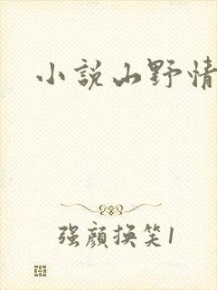 小说山野情债