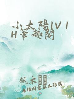 小太阳1V 1H笔趣阁