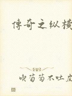 传奇之纵横法师