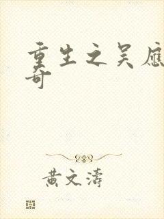 重生之吴应熊传奇