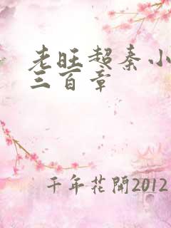 老旺超秦小雨第三百章