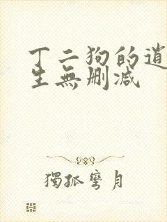 丁二狗的逍遥人生无删减