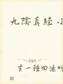 九阴真经 小说
