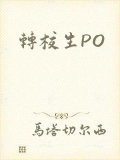 转校生PO