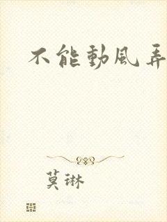 不能动风弄