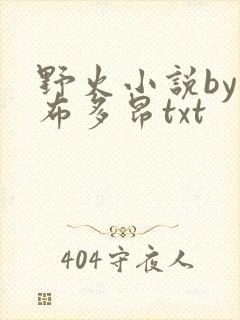 野火小说by夏布多昂txt
