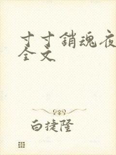 寸寸销魂夜春光全文