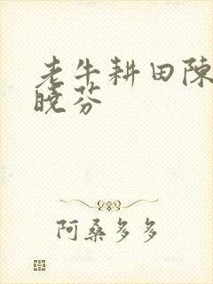 老牛耕田陈雪杨晓芬