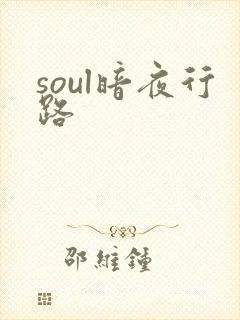 soul暗夜行路