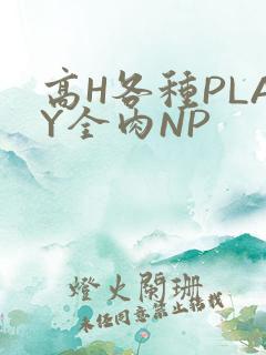 高H各种PLAY全肉NP