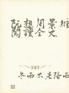 阮想周景维免费阅读全文