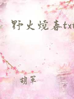 野火烧春txt