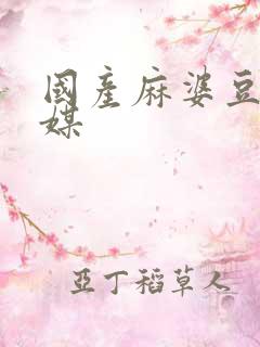 国产麻婆豆腐传媒