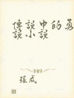 传说中的勇者传说小说