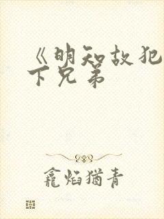 《明知故犯》年下兄弟