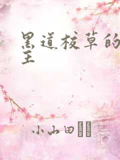 黑道校草的冷公主