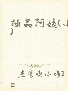 极品阿姨(小说)