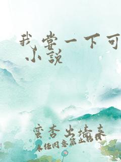 我尝一下可以吗 小说