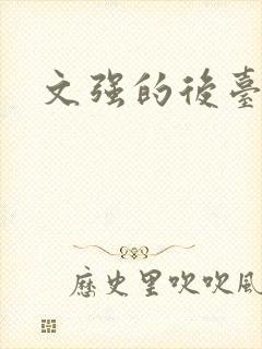 文强的后台是谁