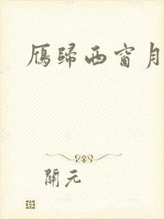 雁归西窗月小说