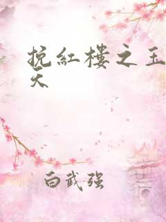 挽红楼之玉舞九天