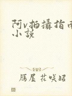 阿v拍摄指南说小说