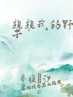 亲亲我的野猪王子