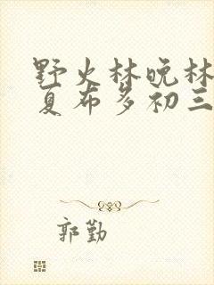 野火林晚林潮生夏布多初三边缘