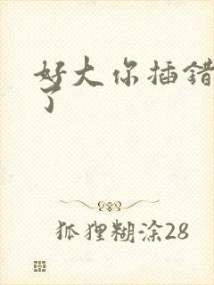 好大你插错地方了