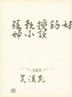 张教授的好儿媳妇小说